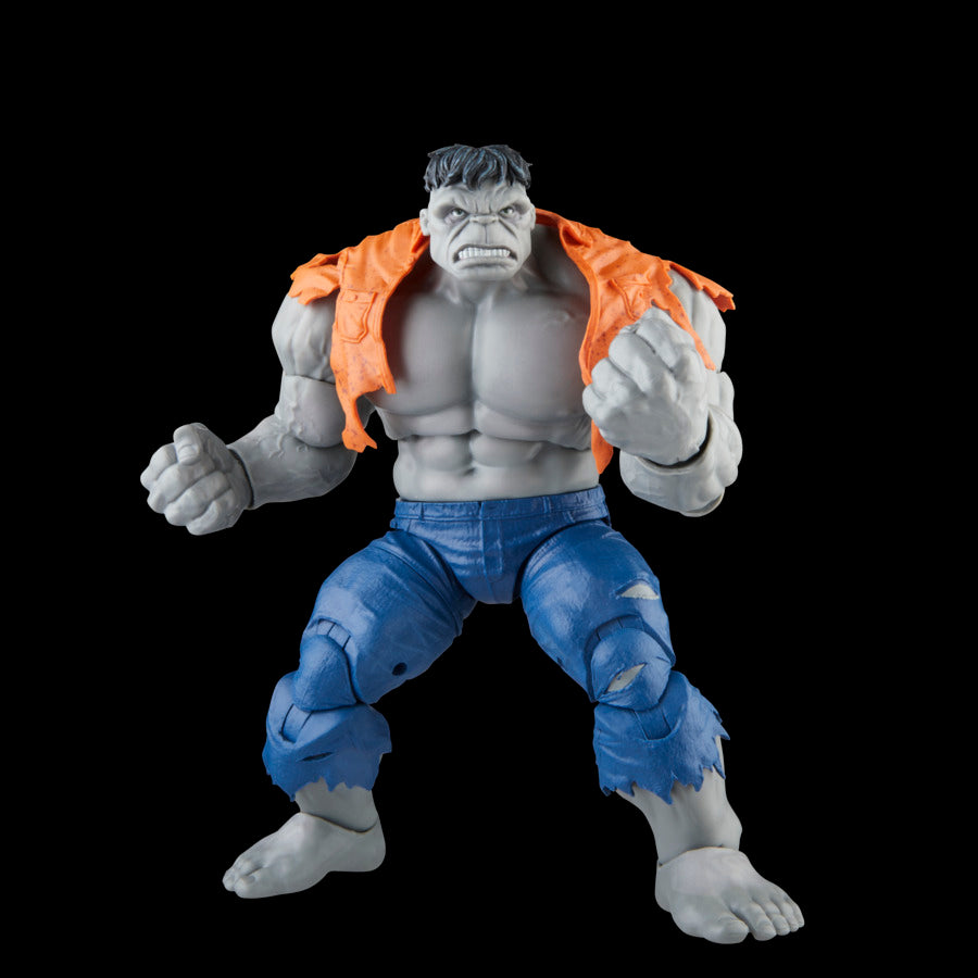 Marvel Legends - Avengers - GRAY HULK & DR. BRUCE BANNER