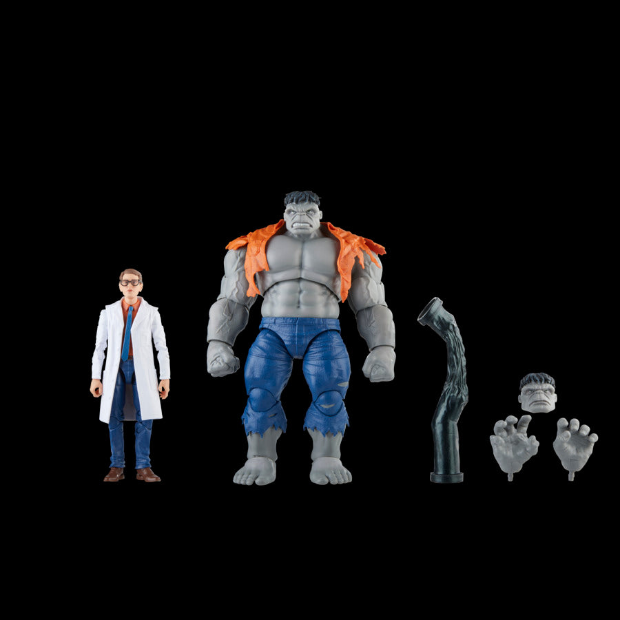 Marvel Legends - Avengers - GRAY HULK & DR. BRUCE BANNER