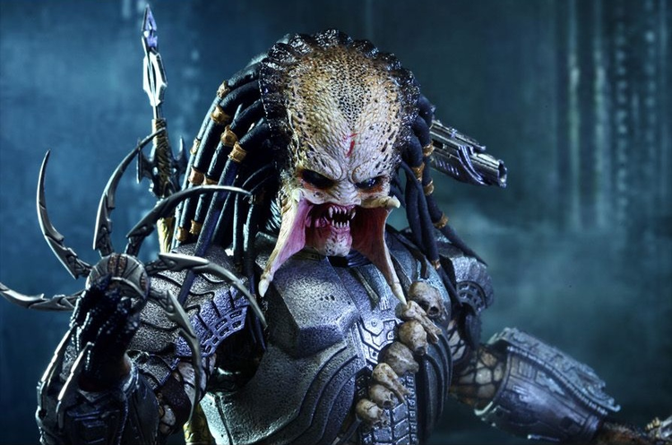 Predator