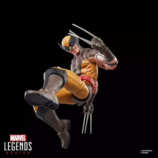 Marvel Legends - Figurine de DAKEN ( WOLVERINE ) - 15 cm