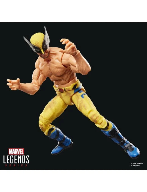 Marvel Legends - MCU Série Deadpool & Wolverine - Figurine de WOLVERINE " SHIRTLESS " - 15 cm