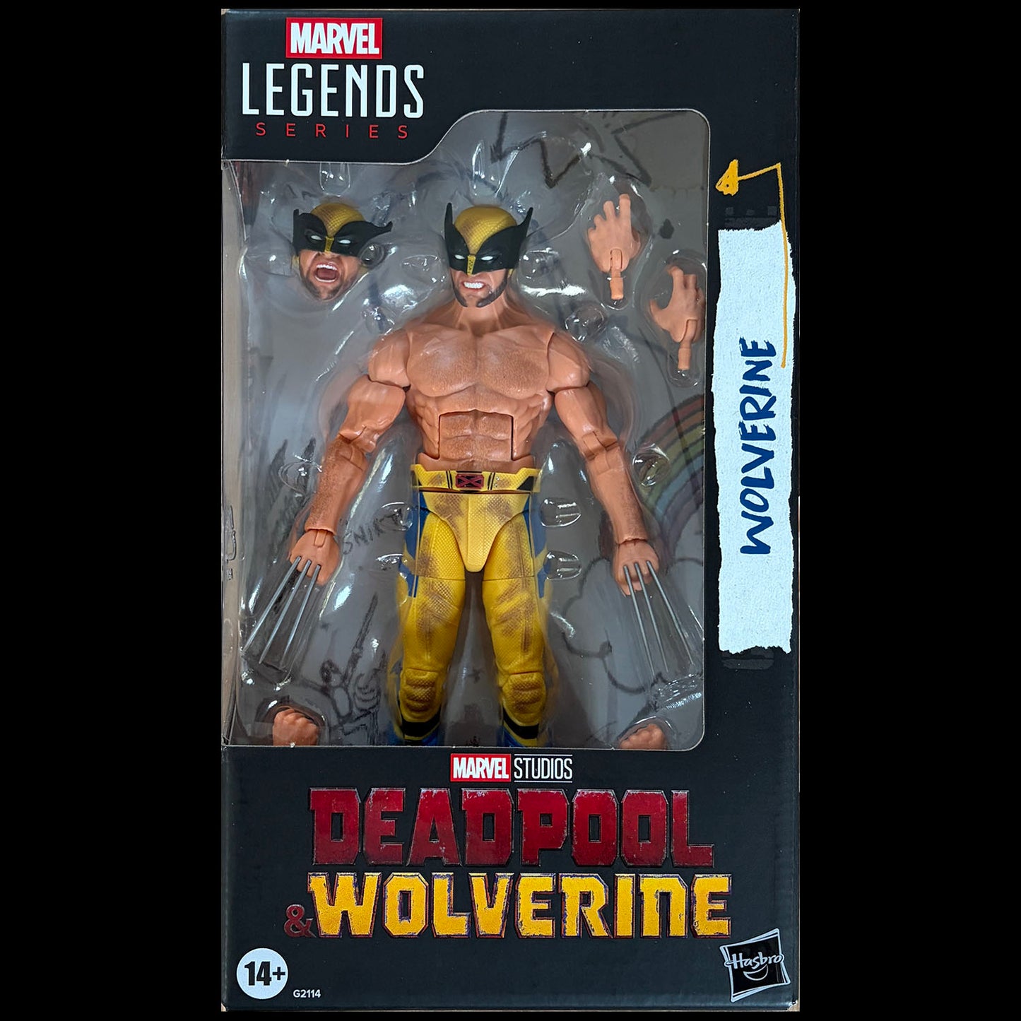 Marvel Legends - MCU Série Deadpool & Wolverine - Figurine de WOLVERINE " SHIRTLESS " - 15 cm